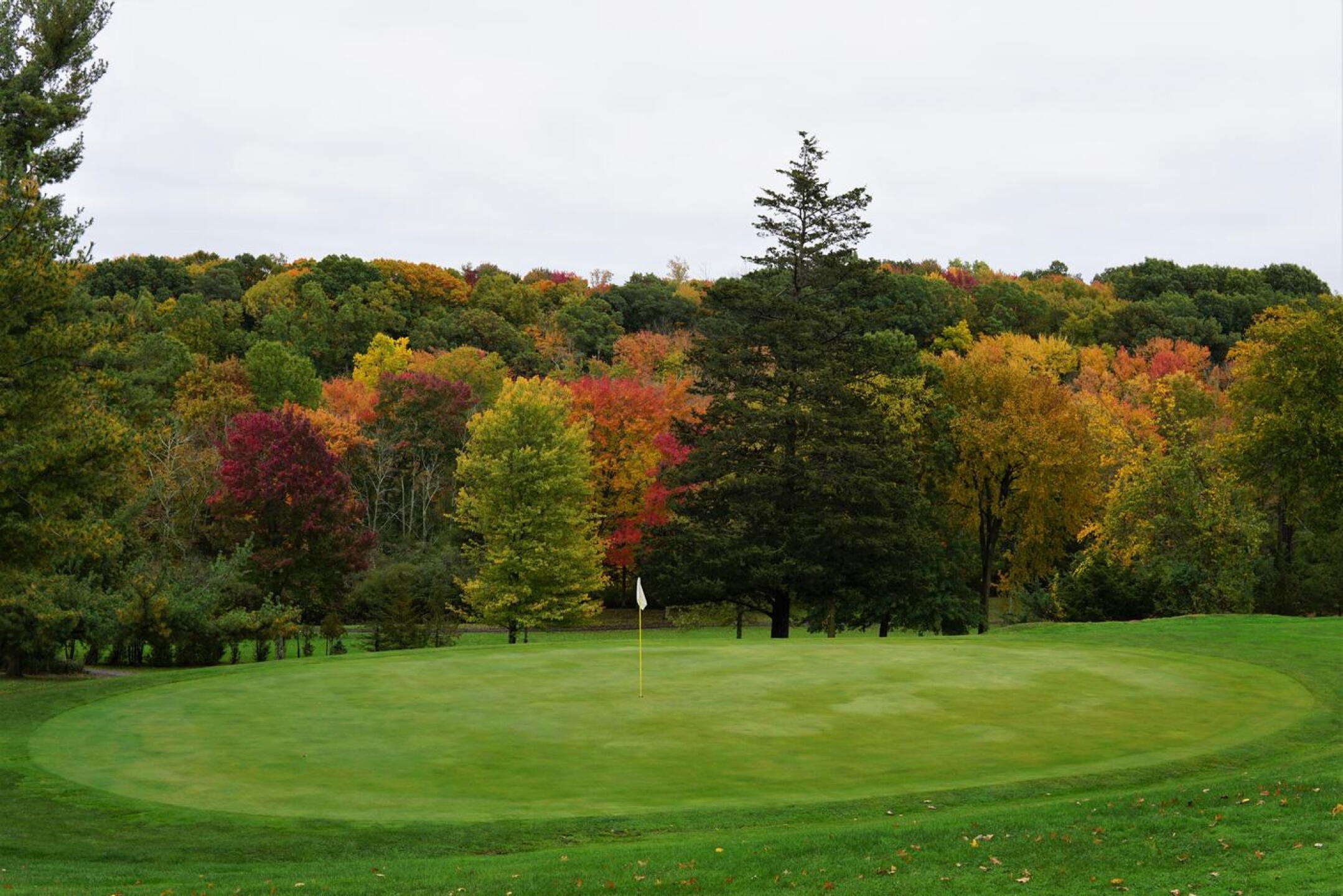The first green at Miner Hills. (Photo submitted by AptlyLinked on 10/20/2022)