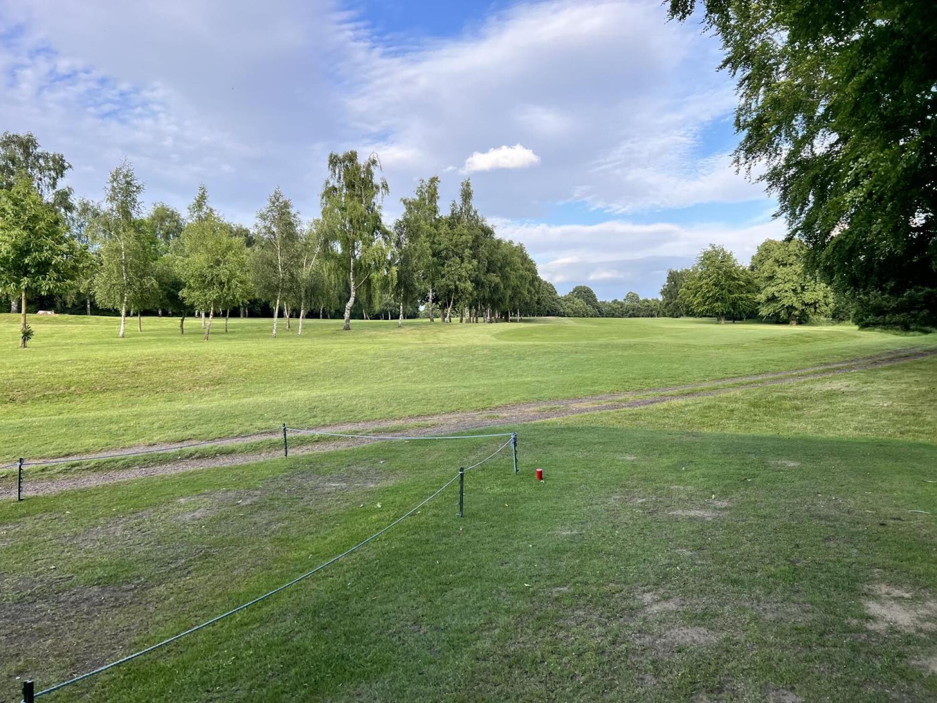 (Photo submitted by Fordy11 on 06/07/2024)