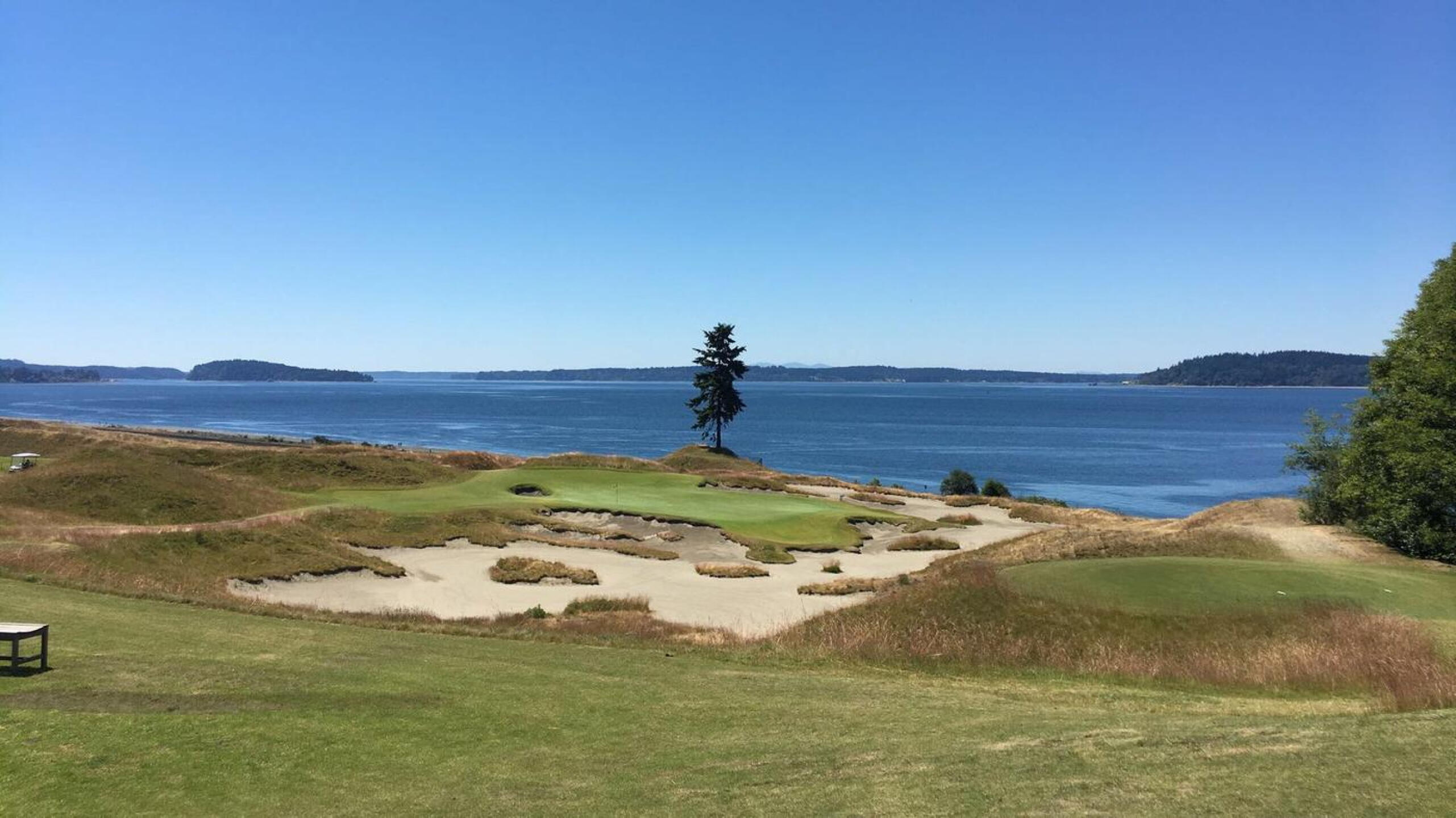 The iconic 15 featuring the only tree on the course - longer than it looks (Photo submitted by u000006485015 on 09/14/2017)