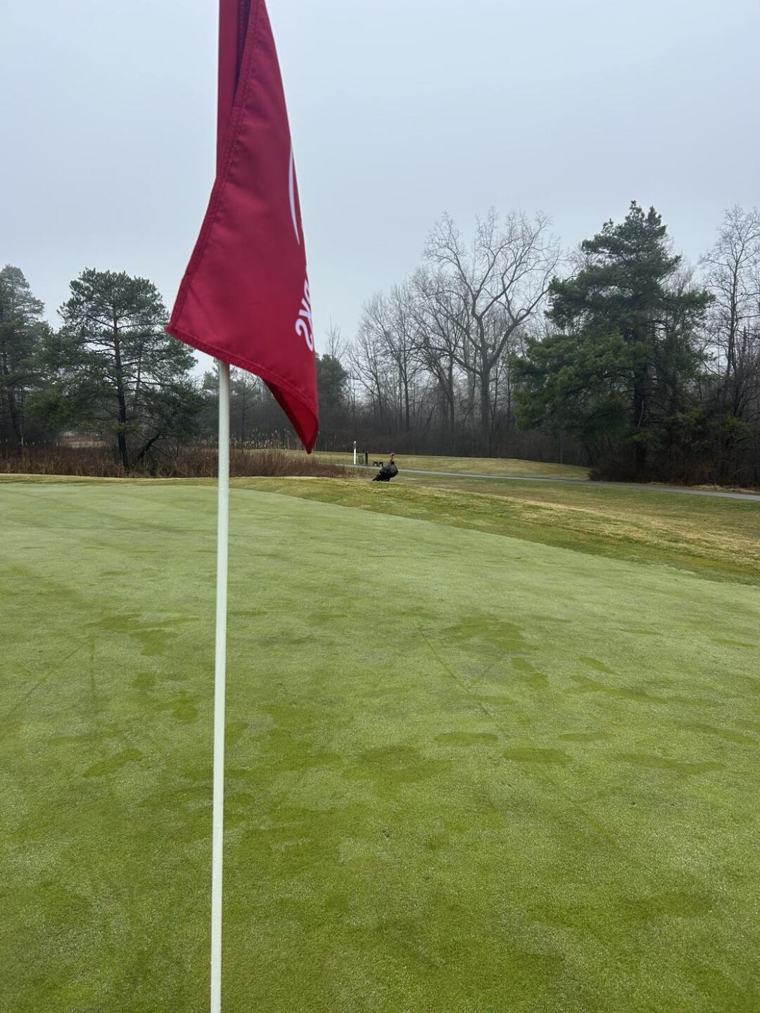 (Photo submitted by MrSky on 04/08/2025)