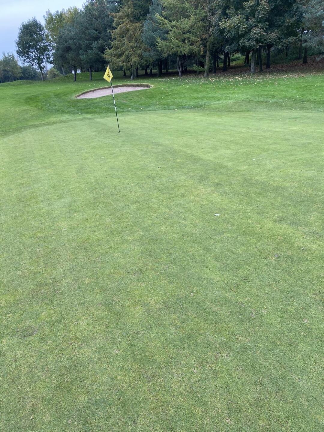 (Photo submitted by WessJackson77 on 10/19/2020)