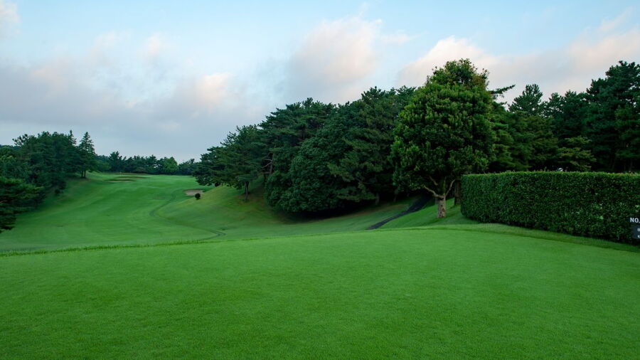 Yomiuri GC: #10