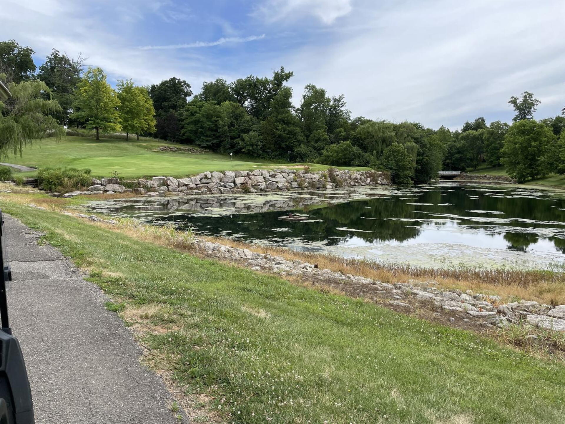 Elevated par 3 17th hole. (Photo submitted by u314159927480 on 06/29/2022)
