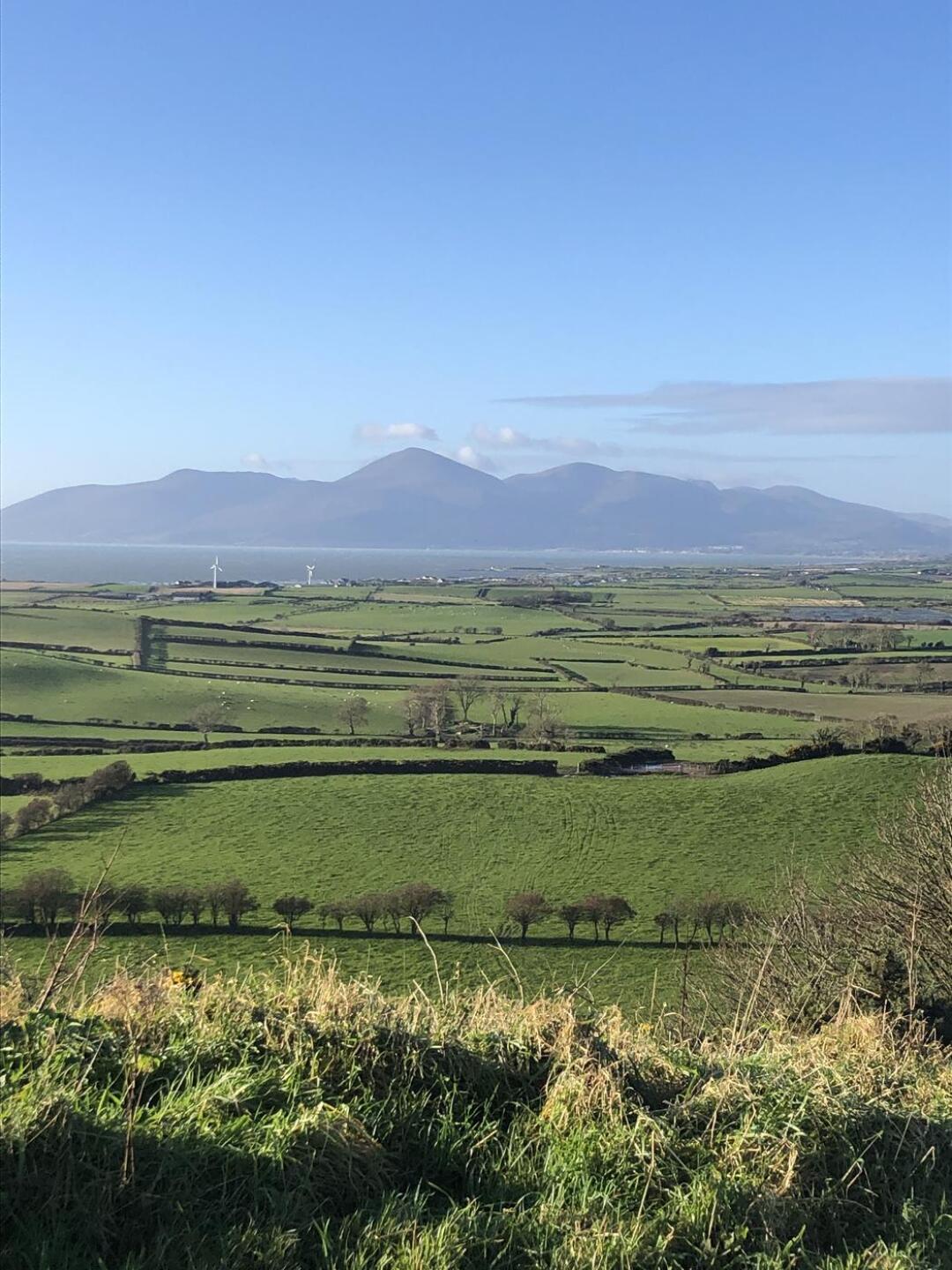 (Photo submitted by Gvmufc on 11/15/2023)