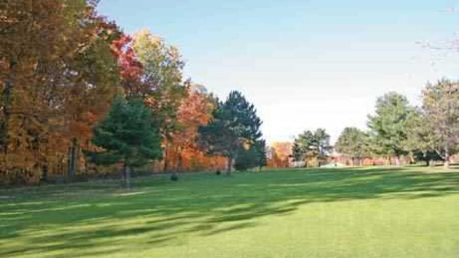 Lakeview Golf & Pizza: #3
