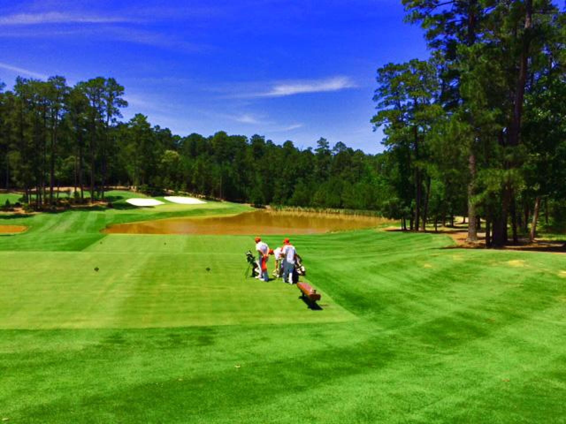 The par-3 12th at Bluejack is very much like the par-3 12th at Augusta National (Photo submitted by MikeBaileyGolf on 05/06/2016)