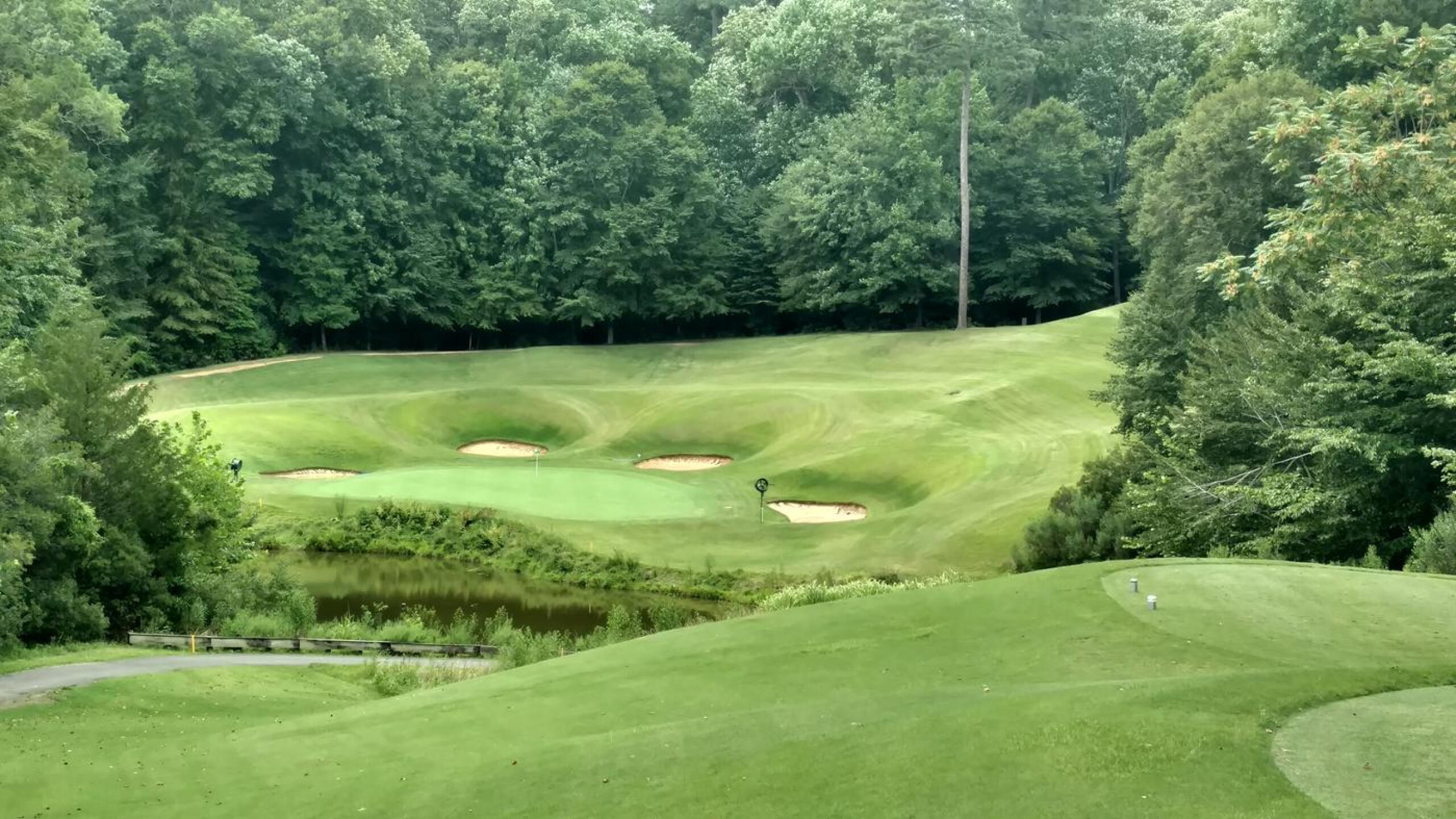 The best par-3 on the Green course, and perhaps the most beautiful hole on the course (Photo submitted by Back9Ben on 07/26/2018)