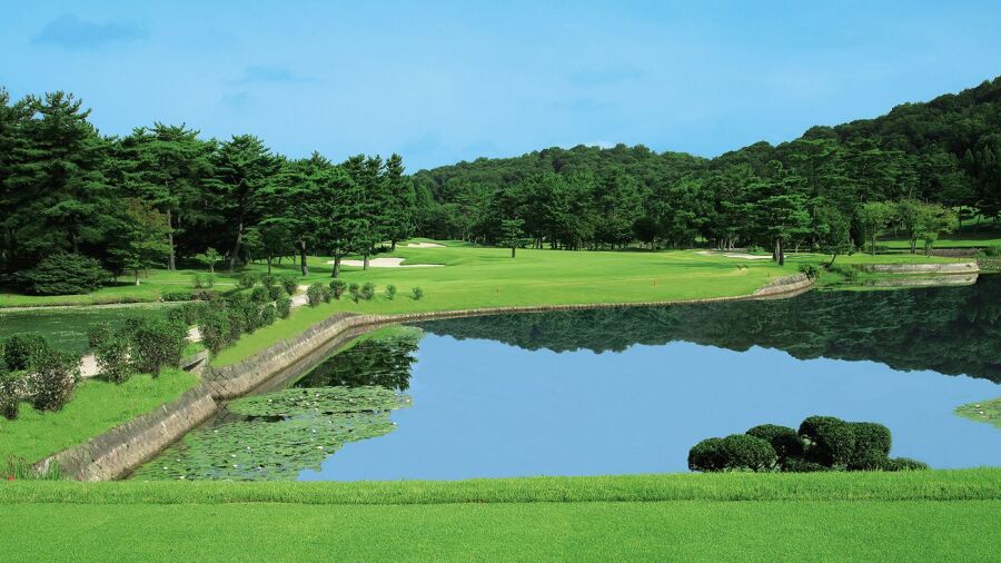 Ono GC: #7