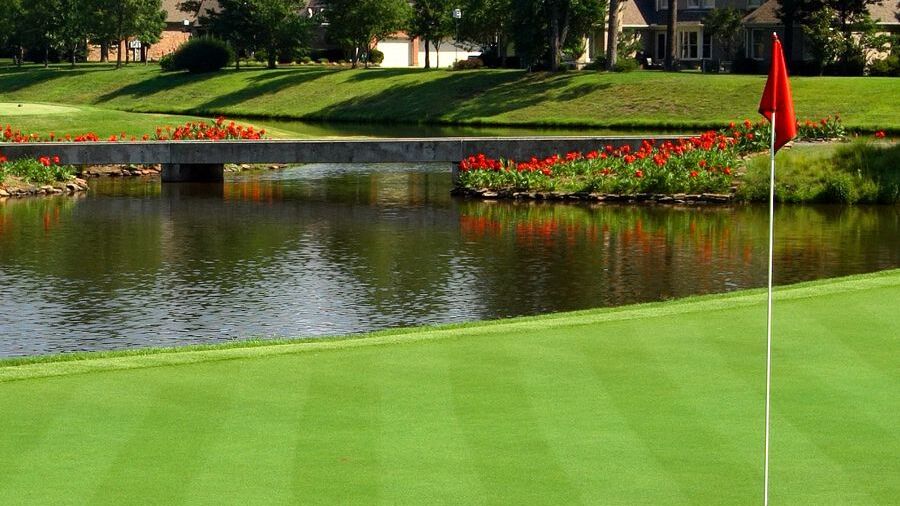 Chenal CC