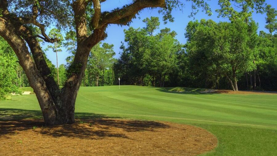 The Oaks GC: #18