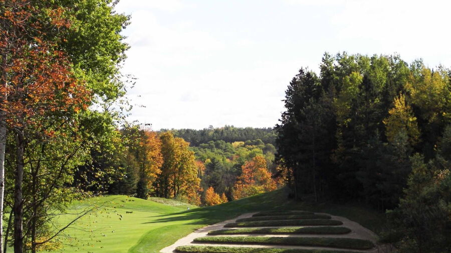 Wooden Sticks GC