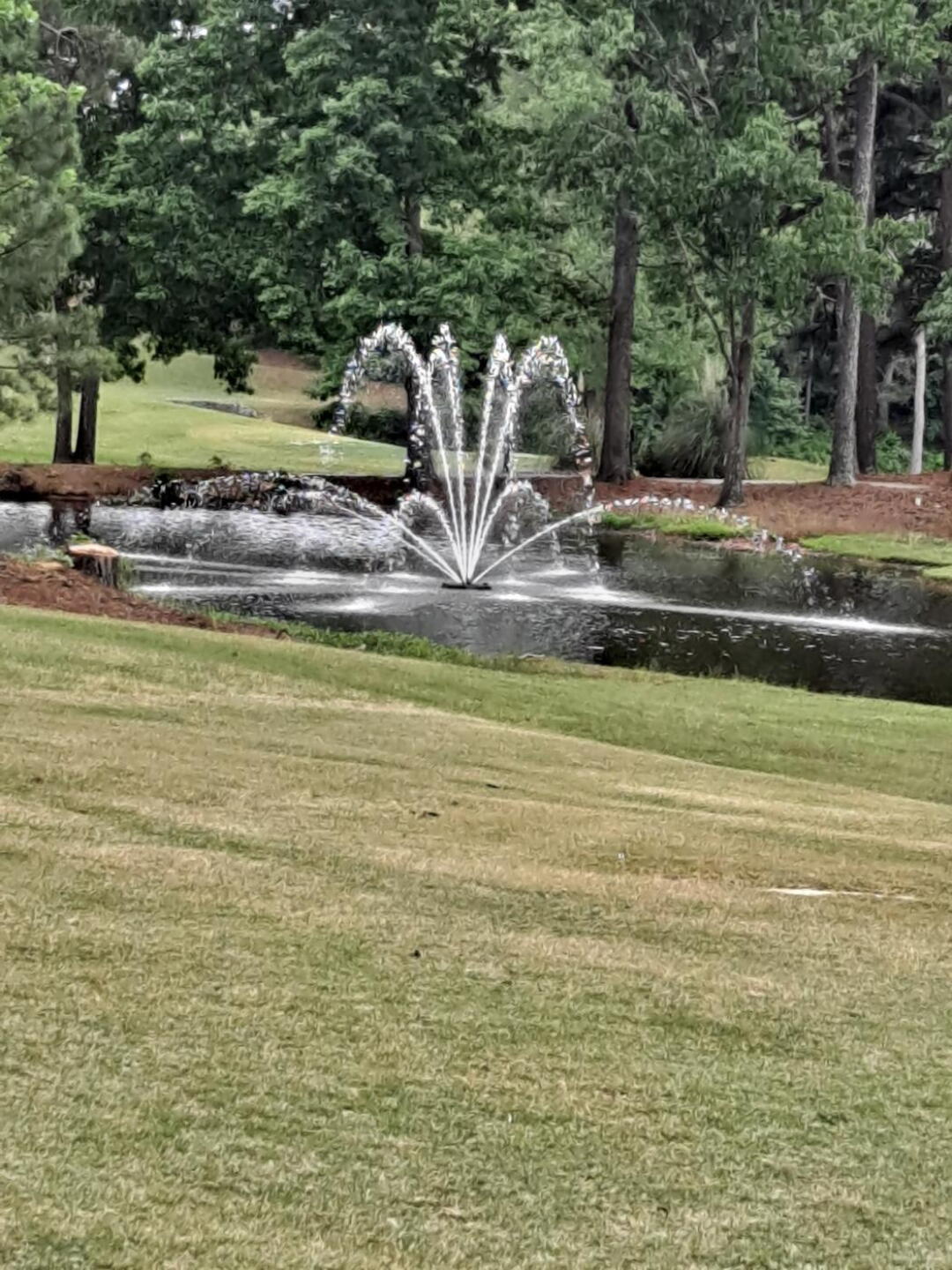 (Photo submitted by u000005760615 on 05/14/2022)