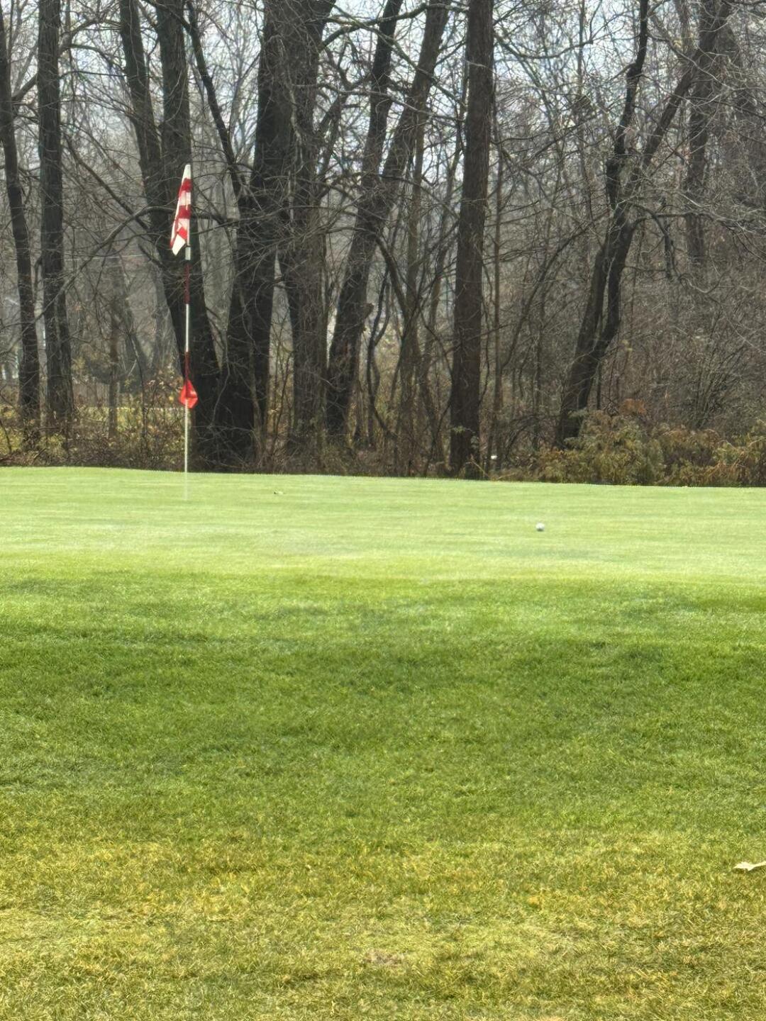 (Photo submitted by Pelito0729 on 11/26/2025)