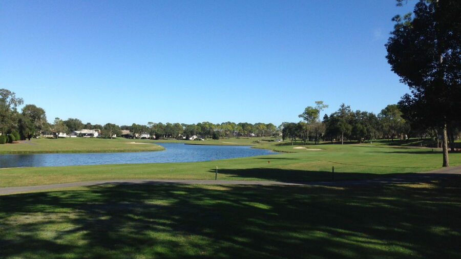 Timber Pines