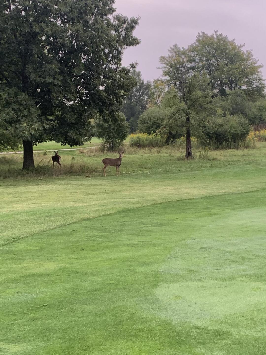(Photo submitted by nickob24 on 09/24/2023)