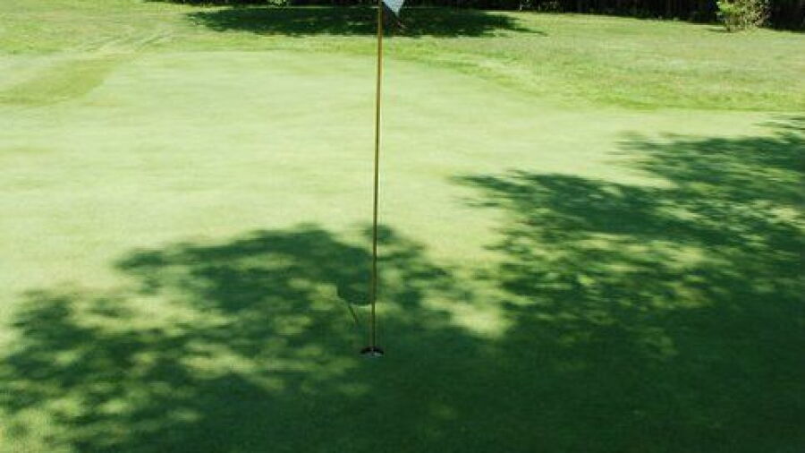 Wilds at Cedar Valley GC: #14