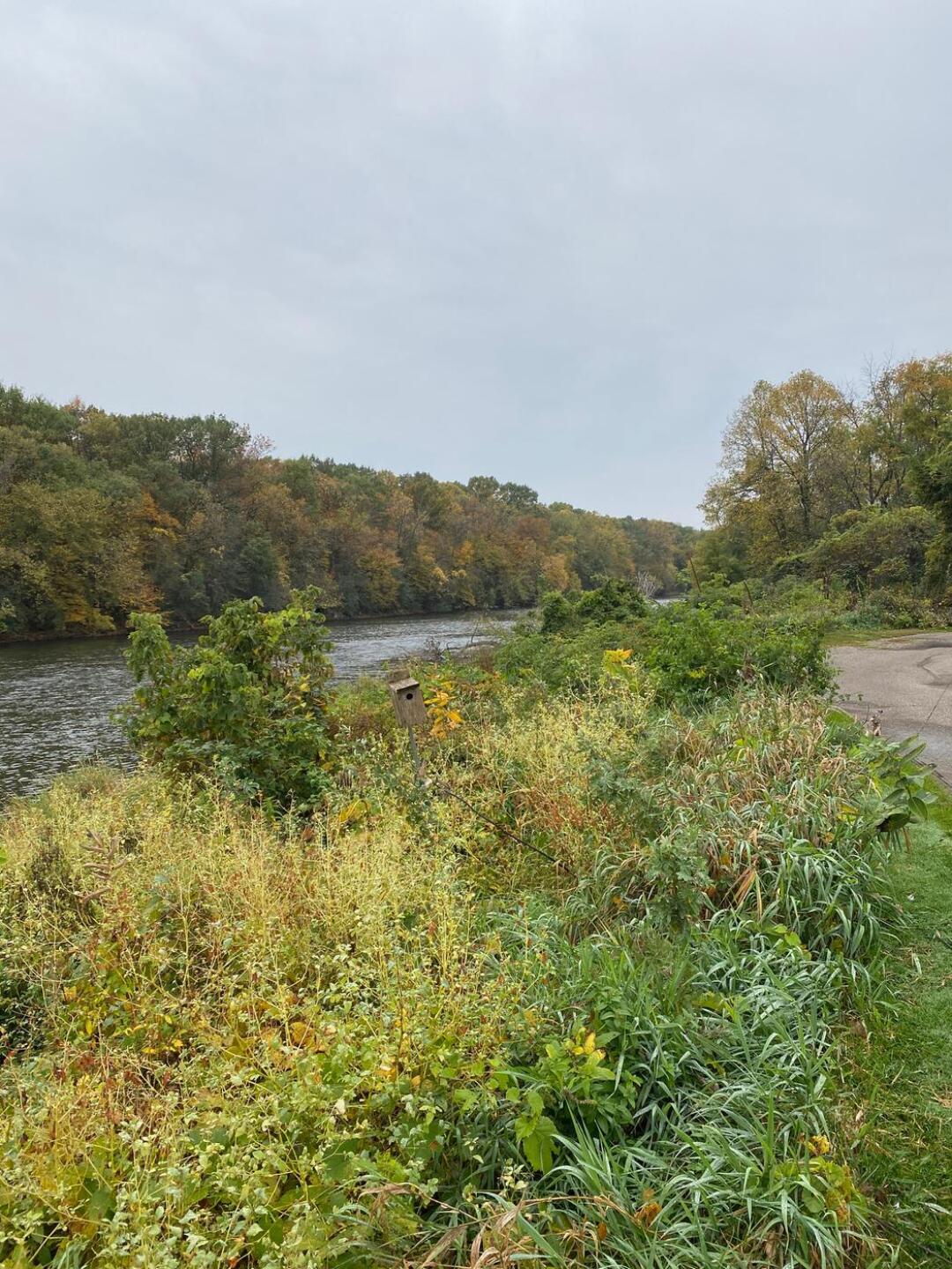 The Cannon River that runs along #5 (Photo submitted by mccasa01 on 09/29/2020)