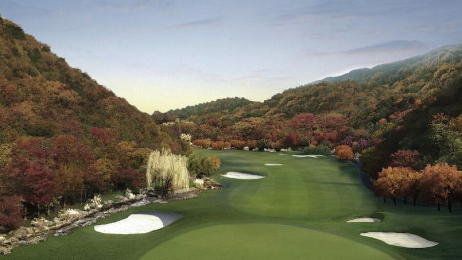Cascadia GC - Tree