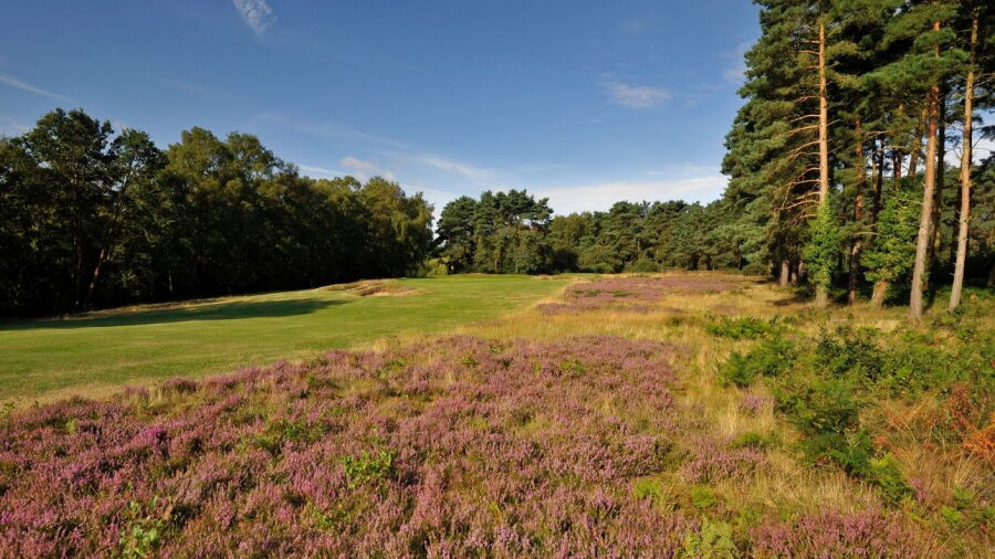  Bixley at Ipswich GC: #7