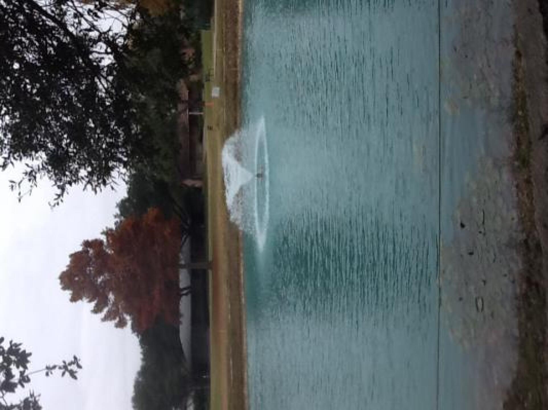 (Photo submitted by u000008035062 on 12/07/2013)