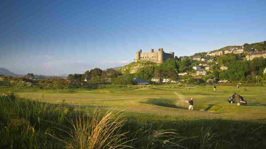 Royal St David 17th