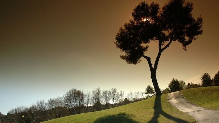 Fontcaude GC - International: #15