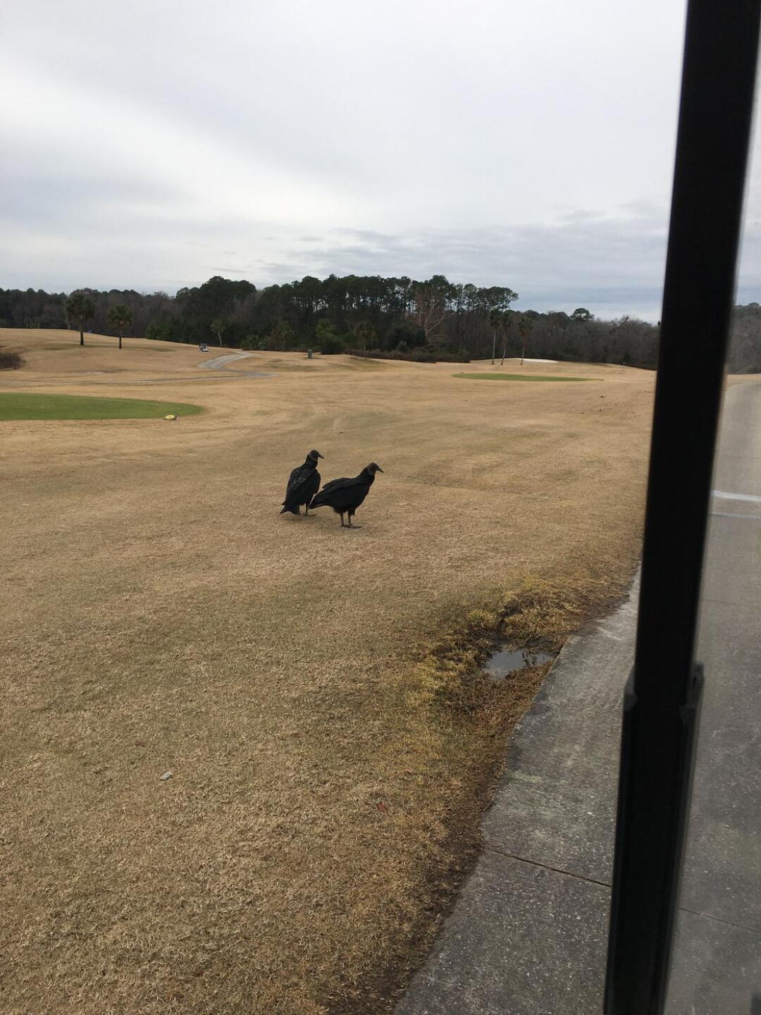 (Photo submitted by KenS1972 on 01/30/2022)