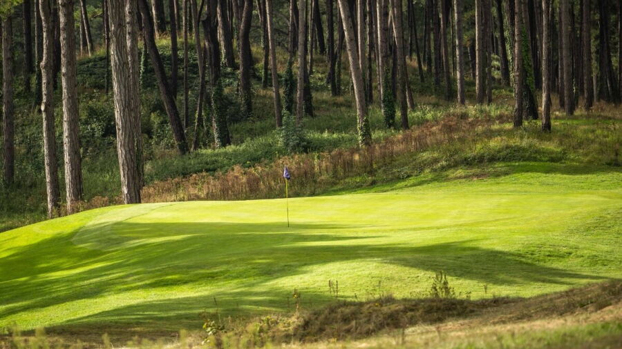Hardelot GC - The Pines