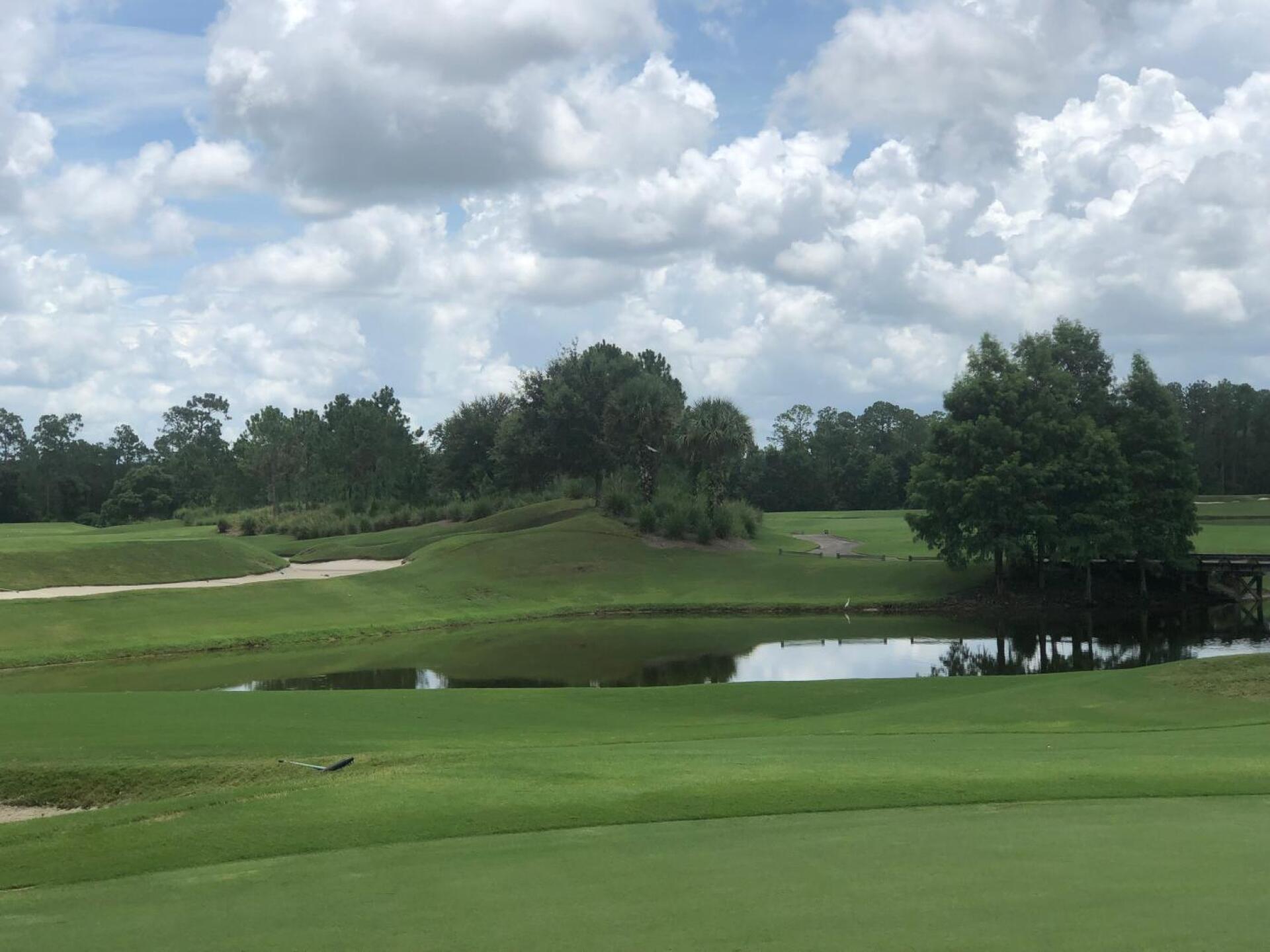 (Photo submitted by Jelly6911 on 07/20/2019)