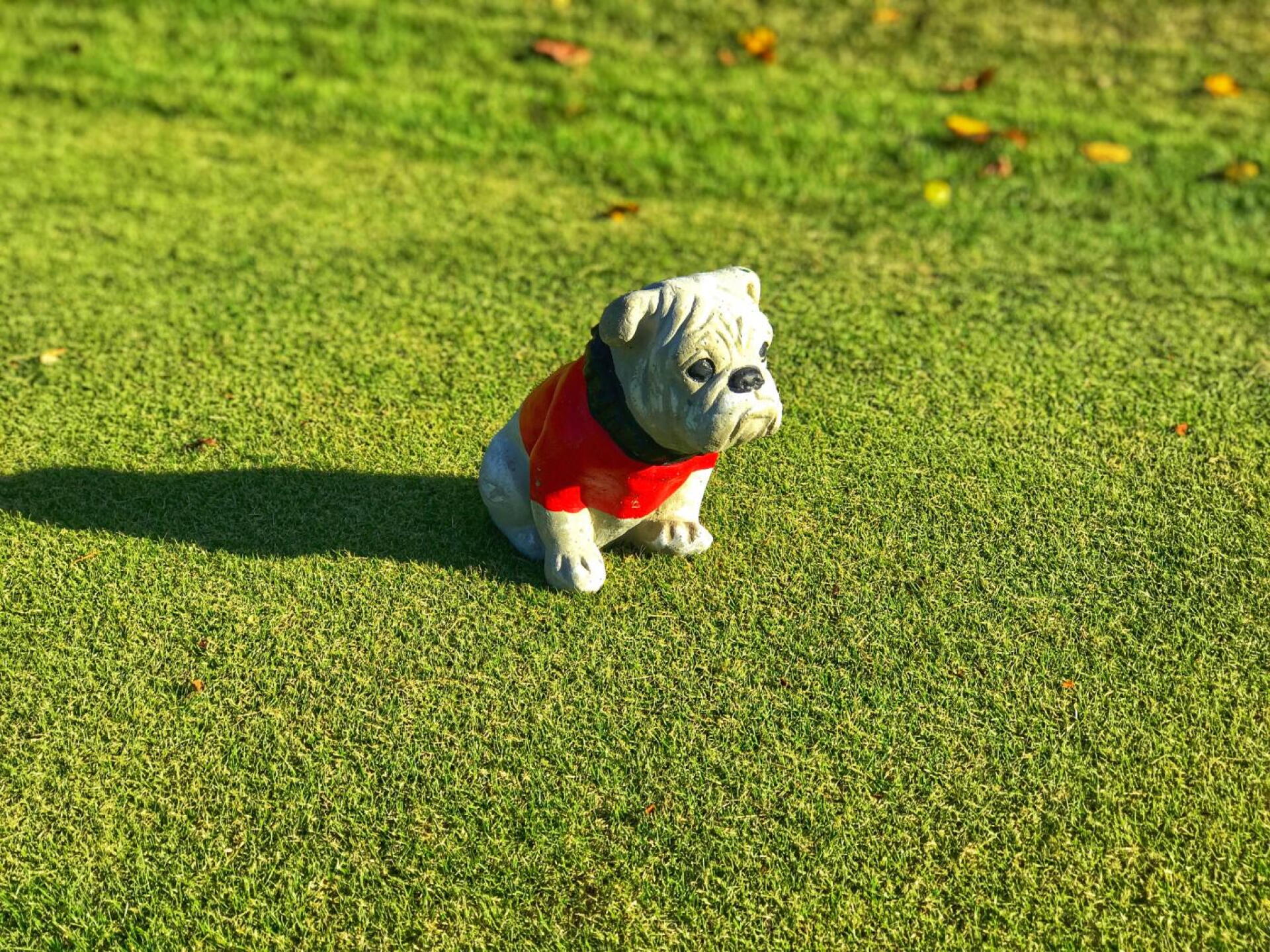 University of Georgia Golf Club, tee marker (Photo submitted by TimGavrichGP on 12/06/2019)