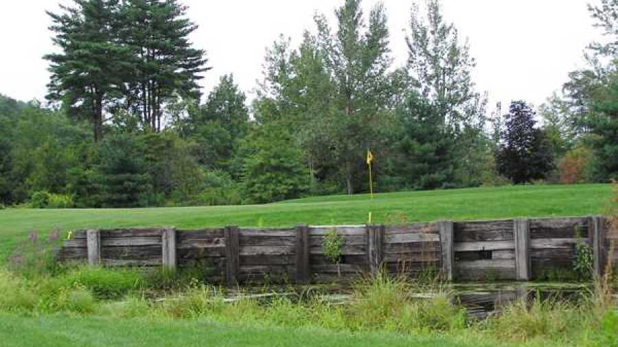 Blue Shamrock GC: #7