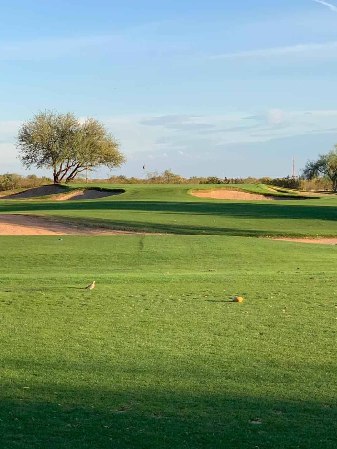 (Photo submitted by Tarp77 on 11/10/2019)