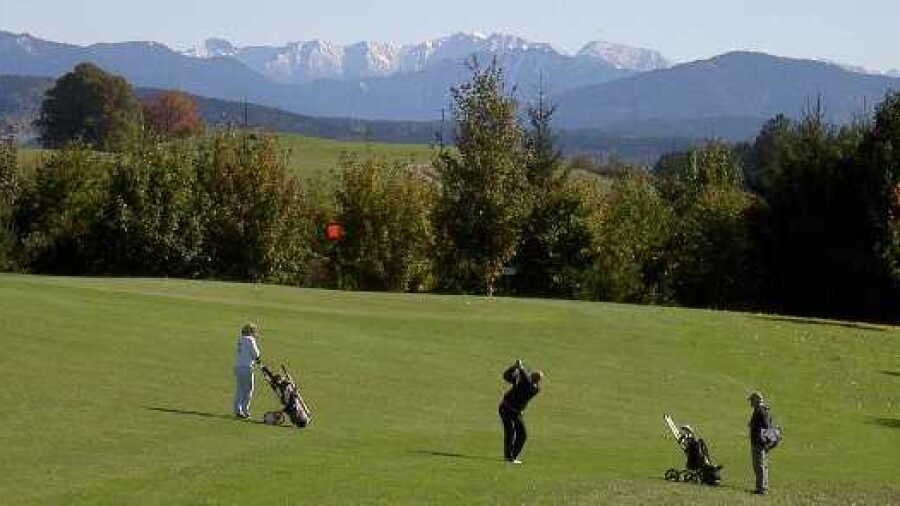 Stenz GC: #4