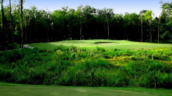 Wescott Plantation Burn Kill Nine: #8