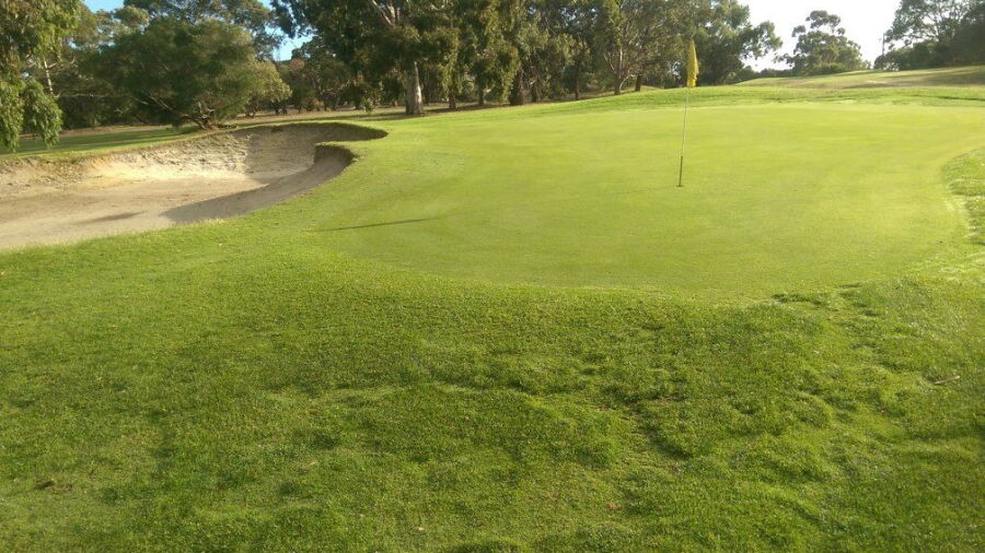 Spring Park GC: #4