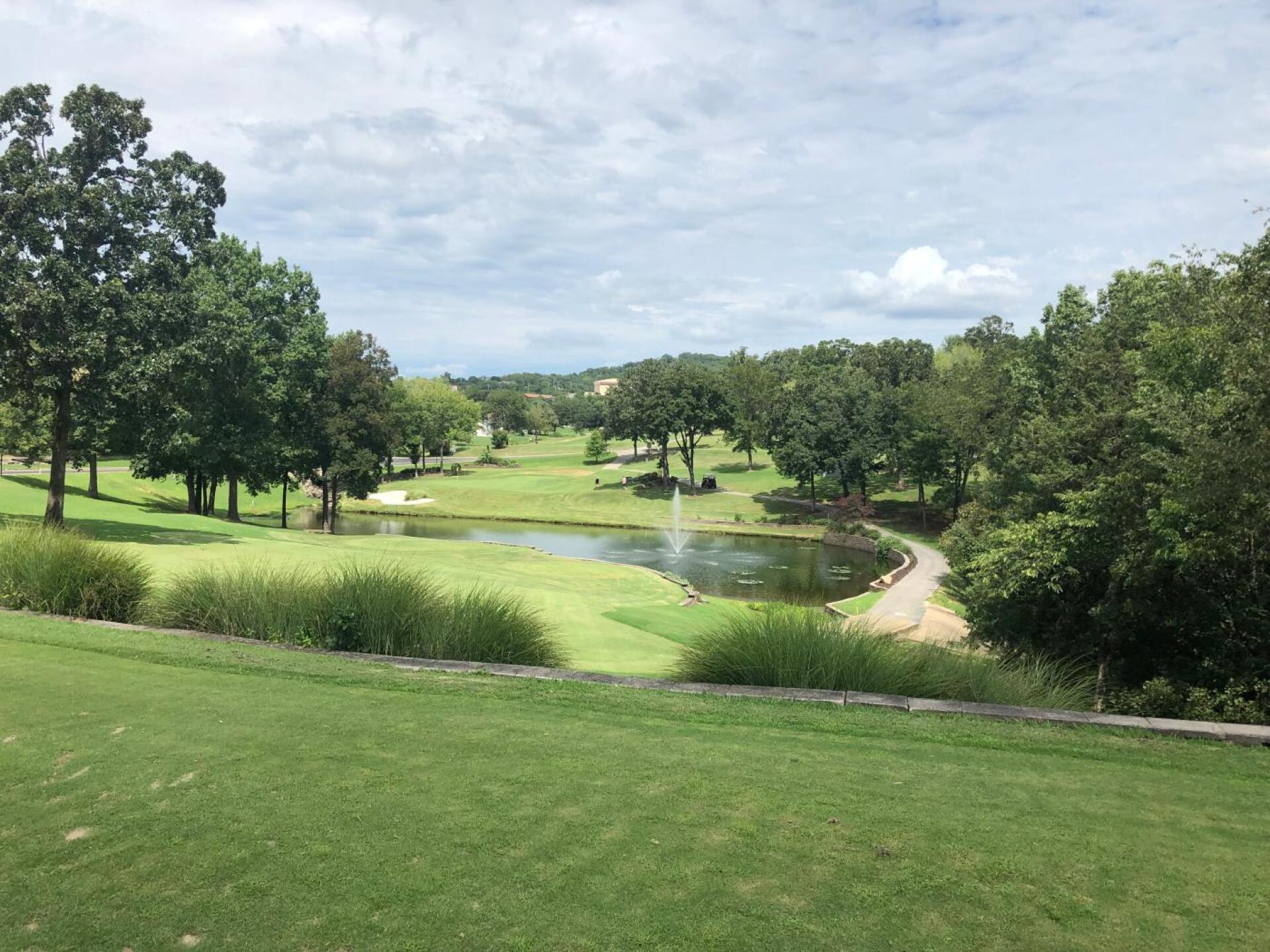 (Photo submitted by Live2fish on 08/21/2019)