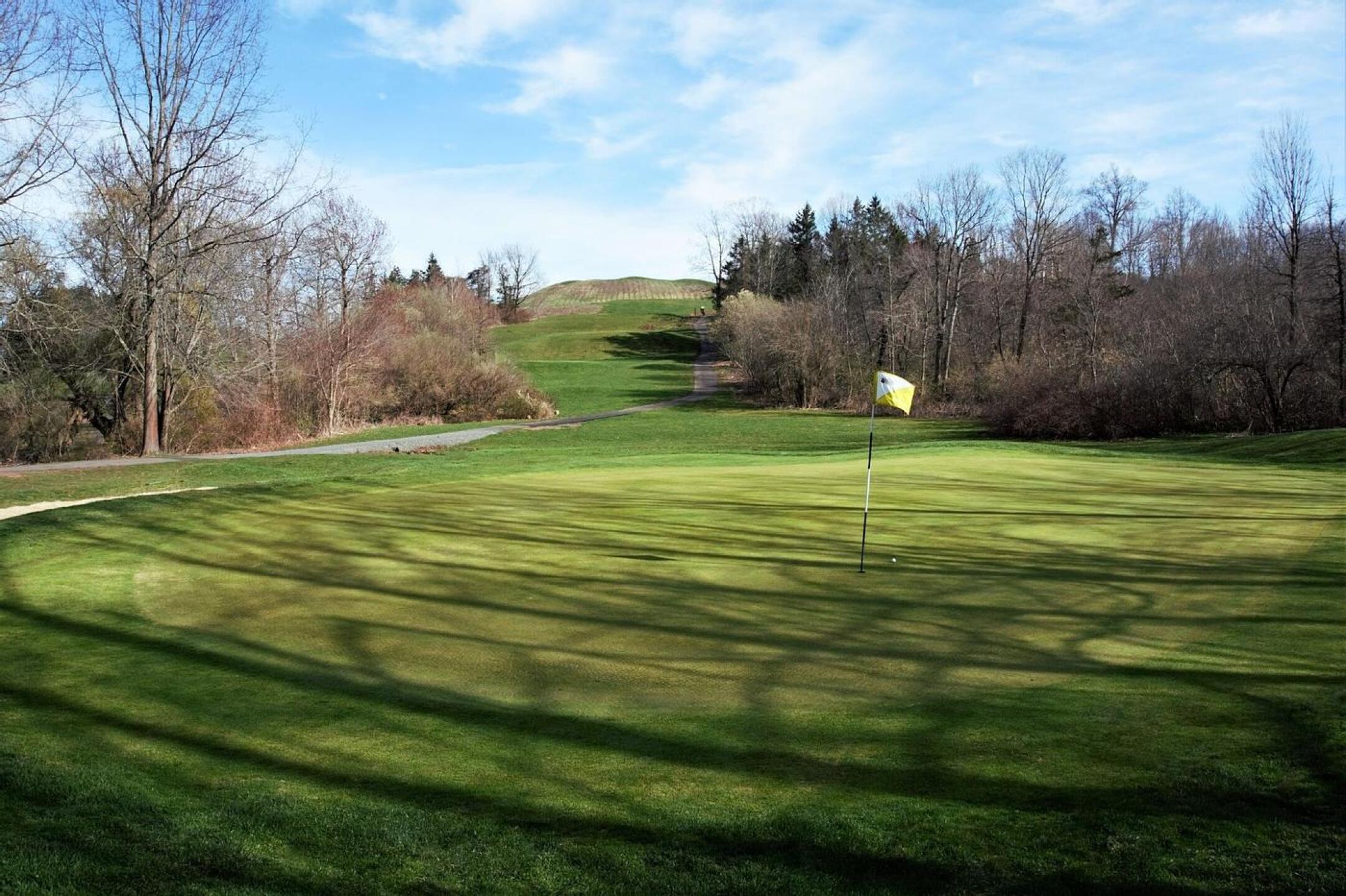 Seven travels 228 yards downhill. (Photo submitted by AptlyLinked on 04/13/2022)