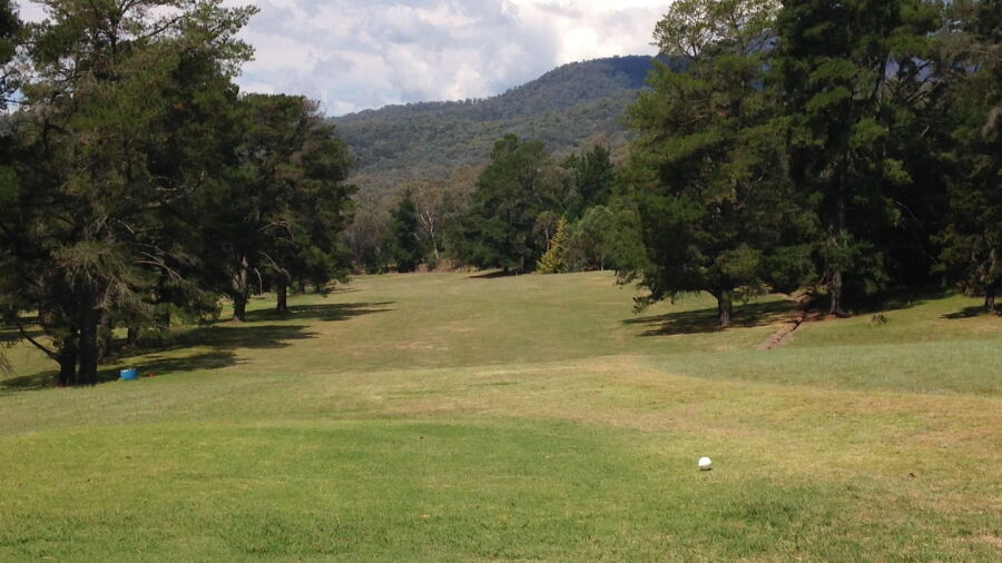 Mount Beauty GC: #11