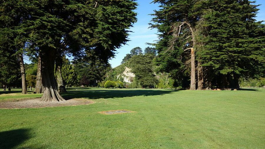 Eketahuna GC: #11