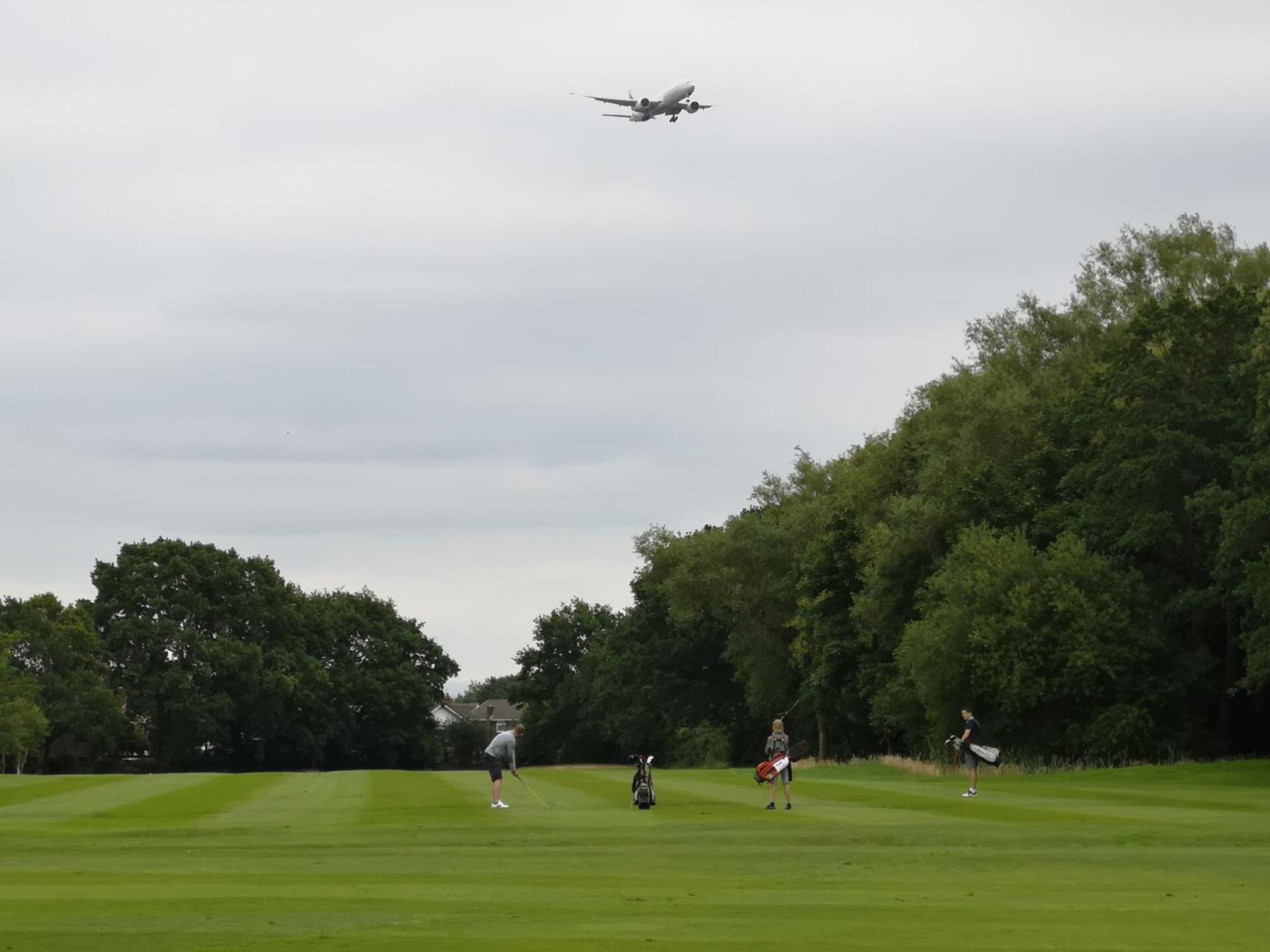 (Photo submitted by u314160433089 on 07/18/2020)