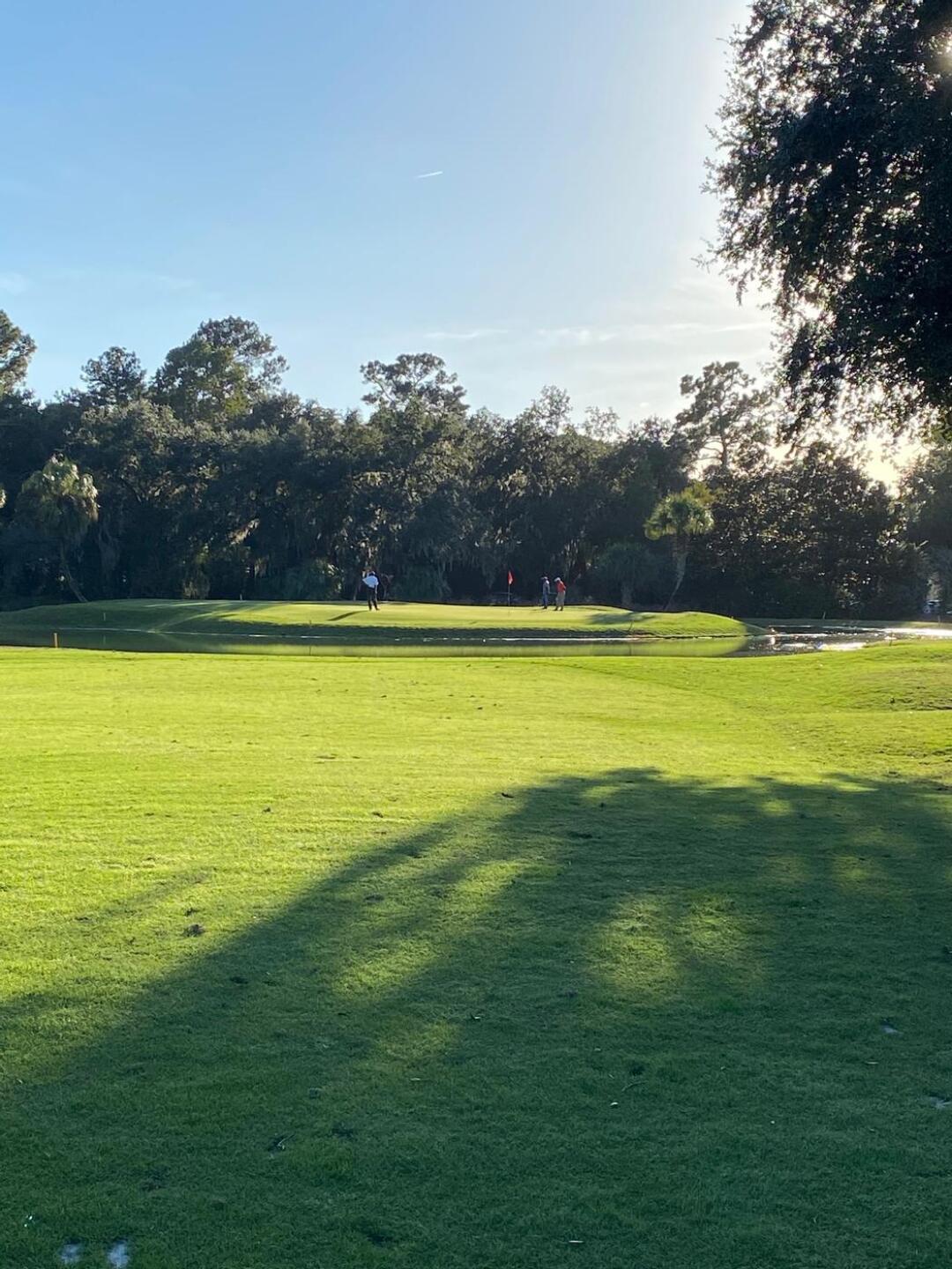 (Photo submitted by DenisDotson on 11/03/2020)