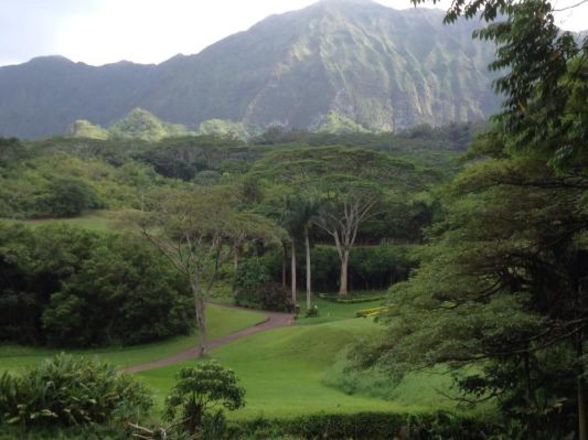 Best scenery on Island (Photo submitted by Devin1073124 on 04/27/2013)