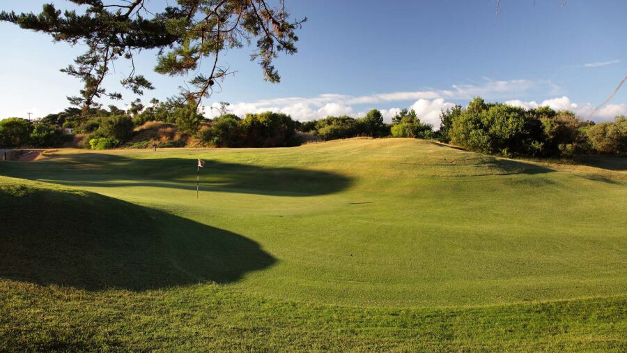 Barwon Heads GC - Short: #7