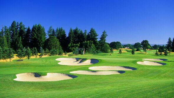 South at Reserve Vineyards #14