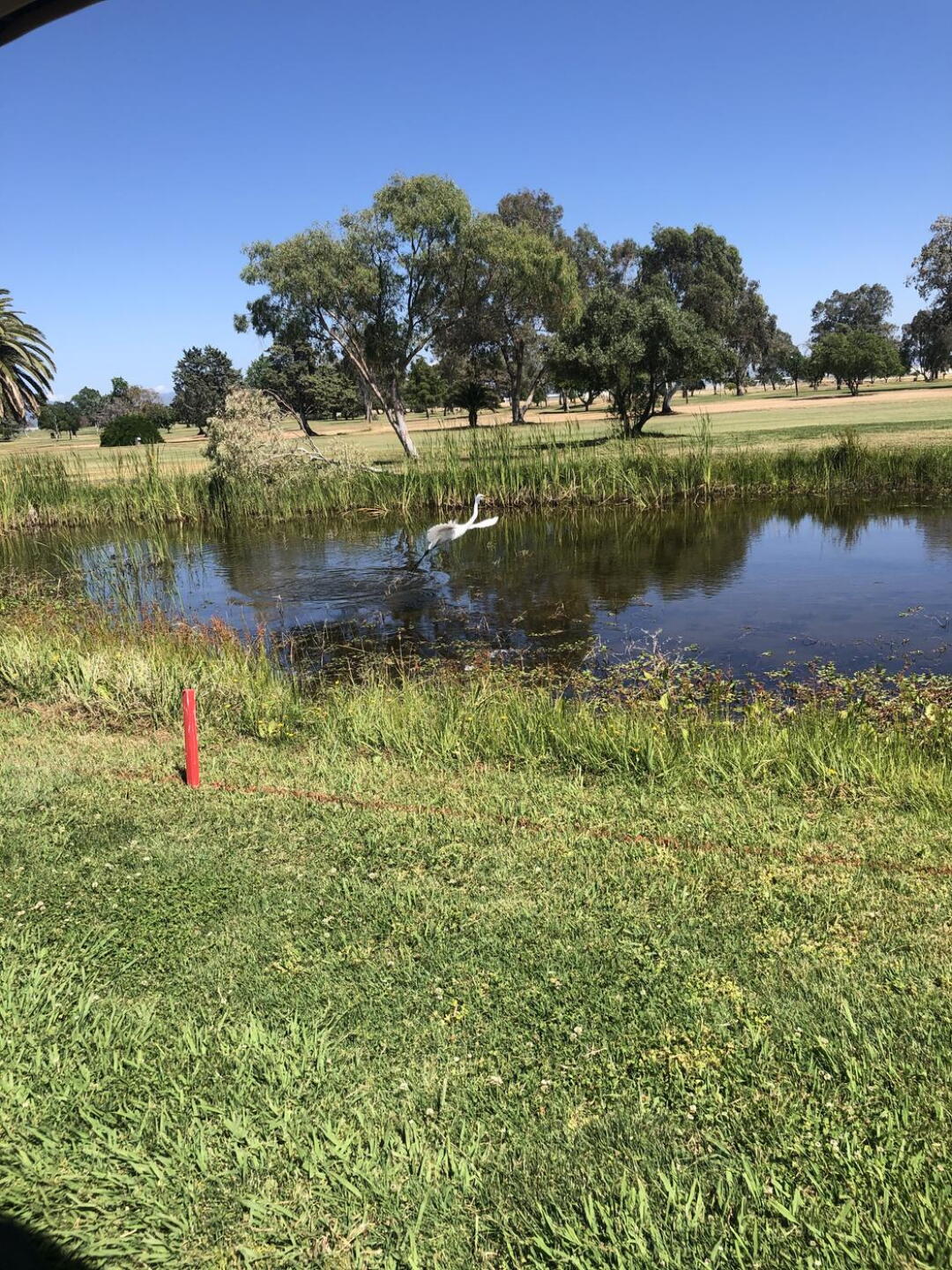 (Photo submitted by omr7483 on 05/25/2021)