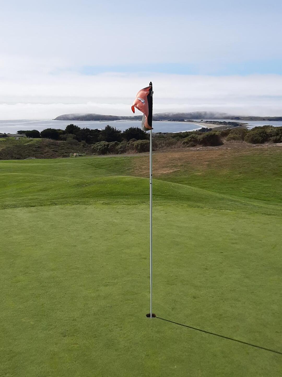 Ocean views everywhere (Photo submitted by u135169342 on 09/17/2020)