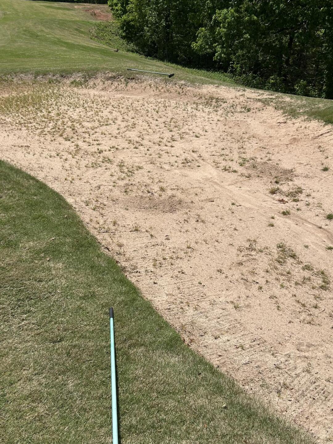 (Photo submitted by u1305602 on 05/14/2025)