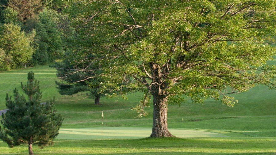 Valley View GC: #7