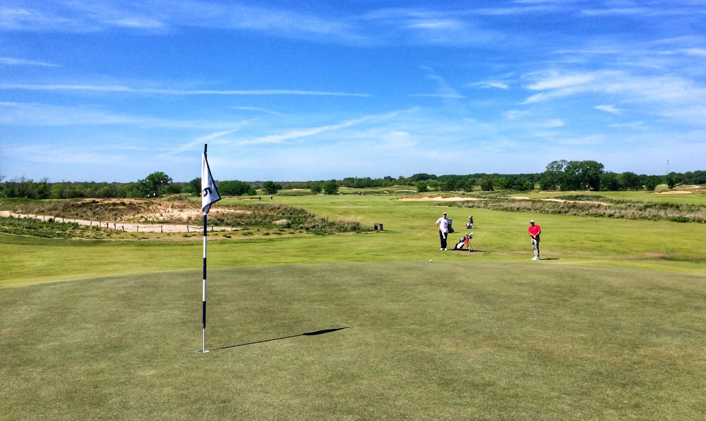 Trinity Forest - No. 5