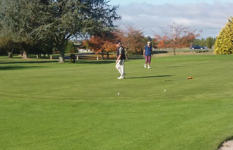 Te Puke GC: #11